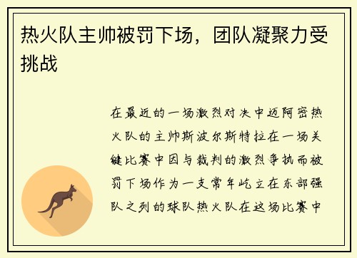热火队主帅被罚下场，团队凝聚力受挑战