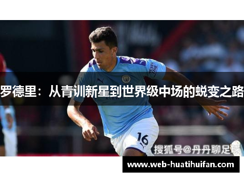 罗德里：从青训新星到世界级中场的蜕变之路